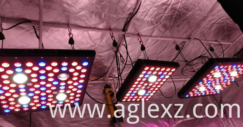 124021827_657589075119553_2995262787899312343_n 124021827_657589075119553_2995262787899312343_n